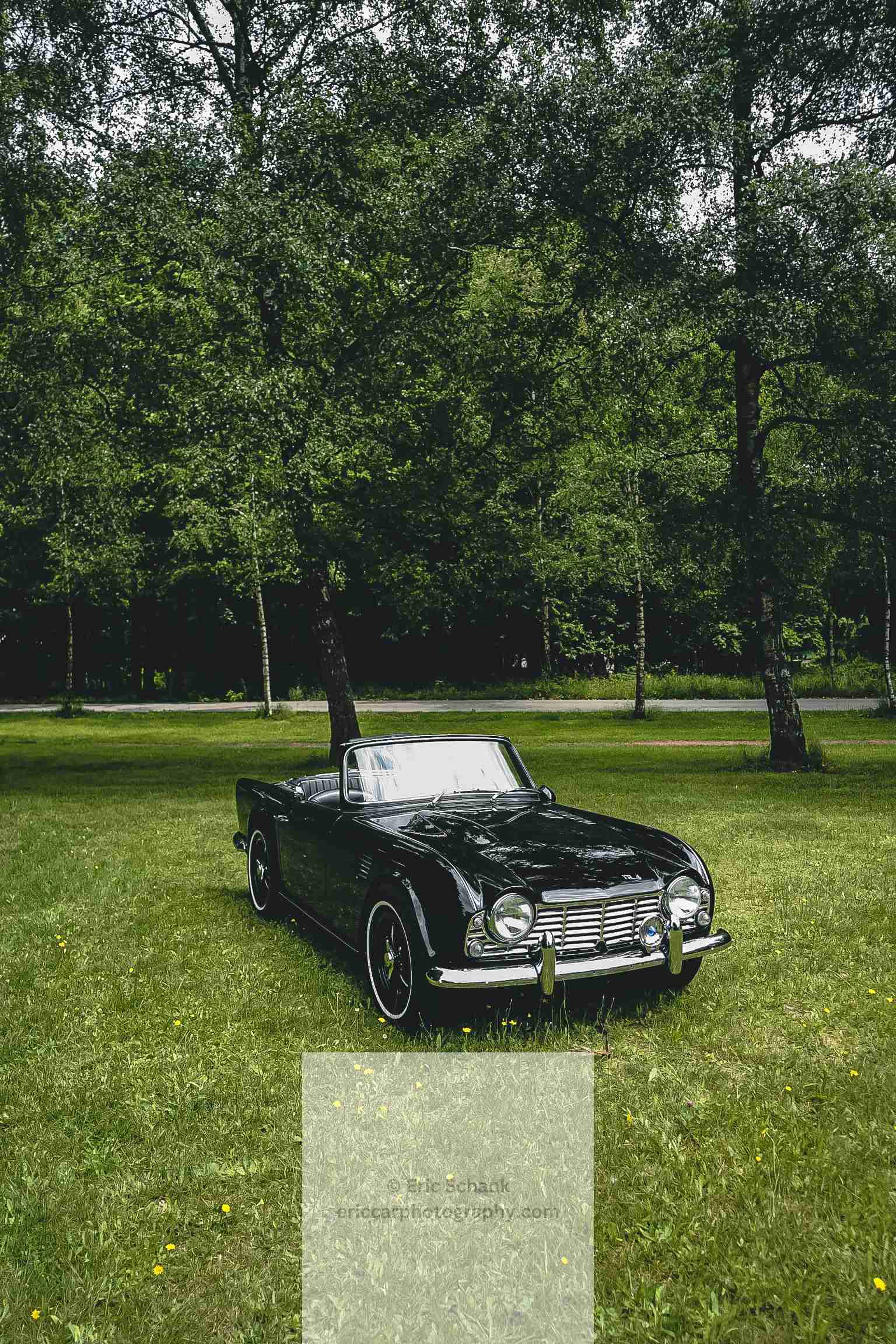 Triumph TR4