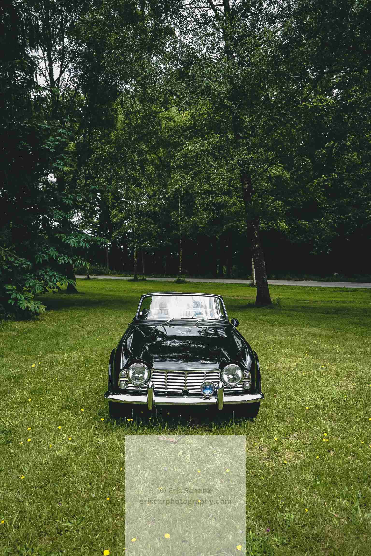 Triumph TR4