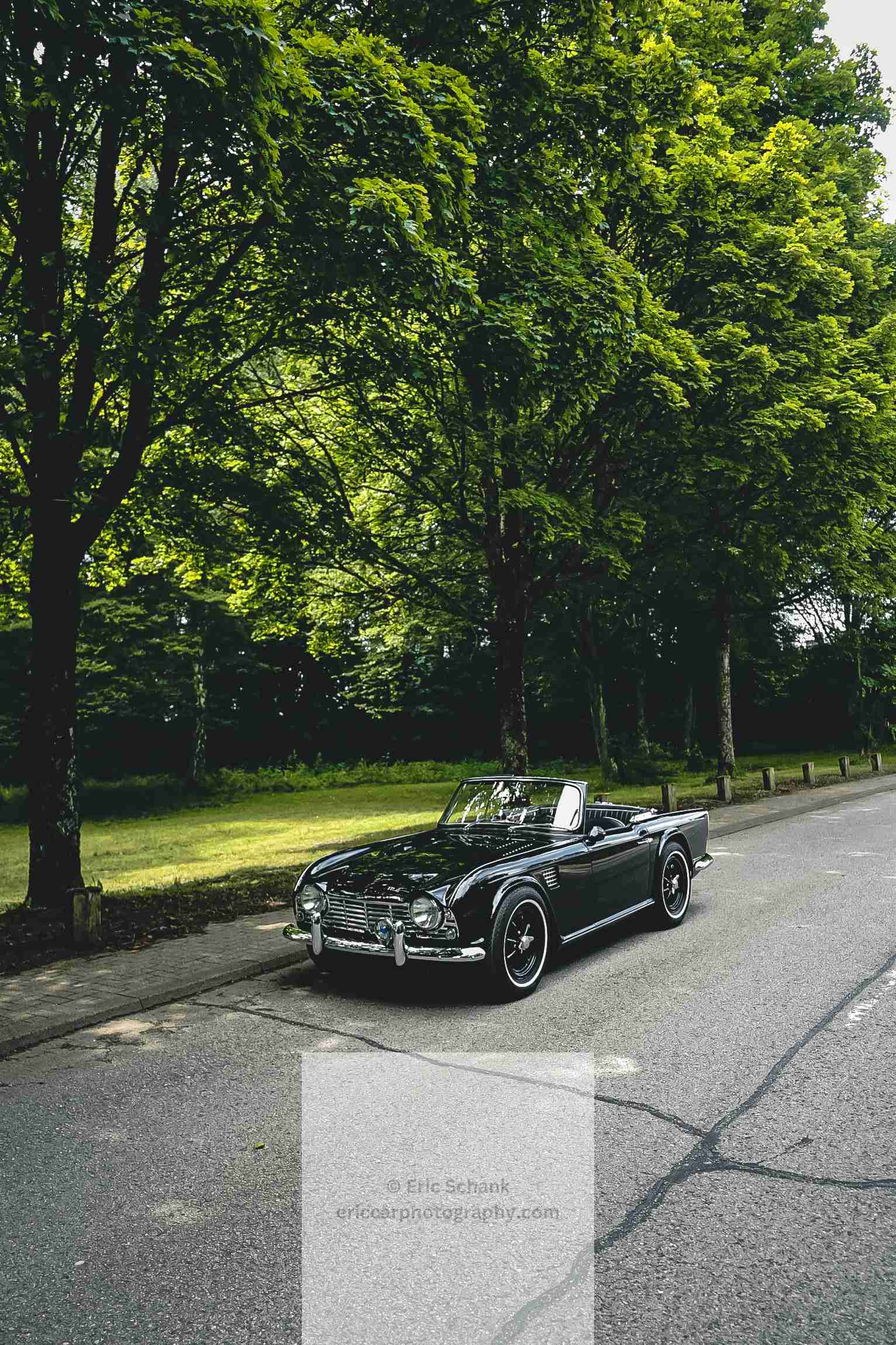 Triumph TR4